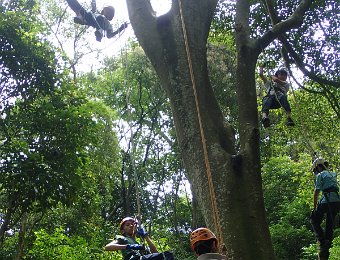 250530親子攀樹1日體驗