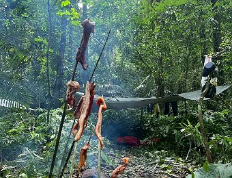 250621大板根野外求生3日