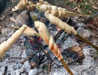 250703末日植物園1日野外求生
