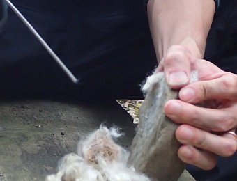 251221基礎生火1日